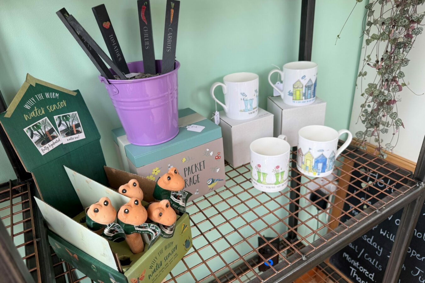 Mugs